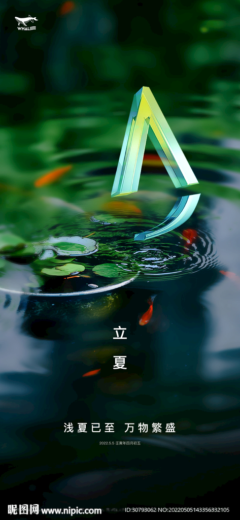金茂立夏节气海报