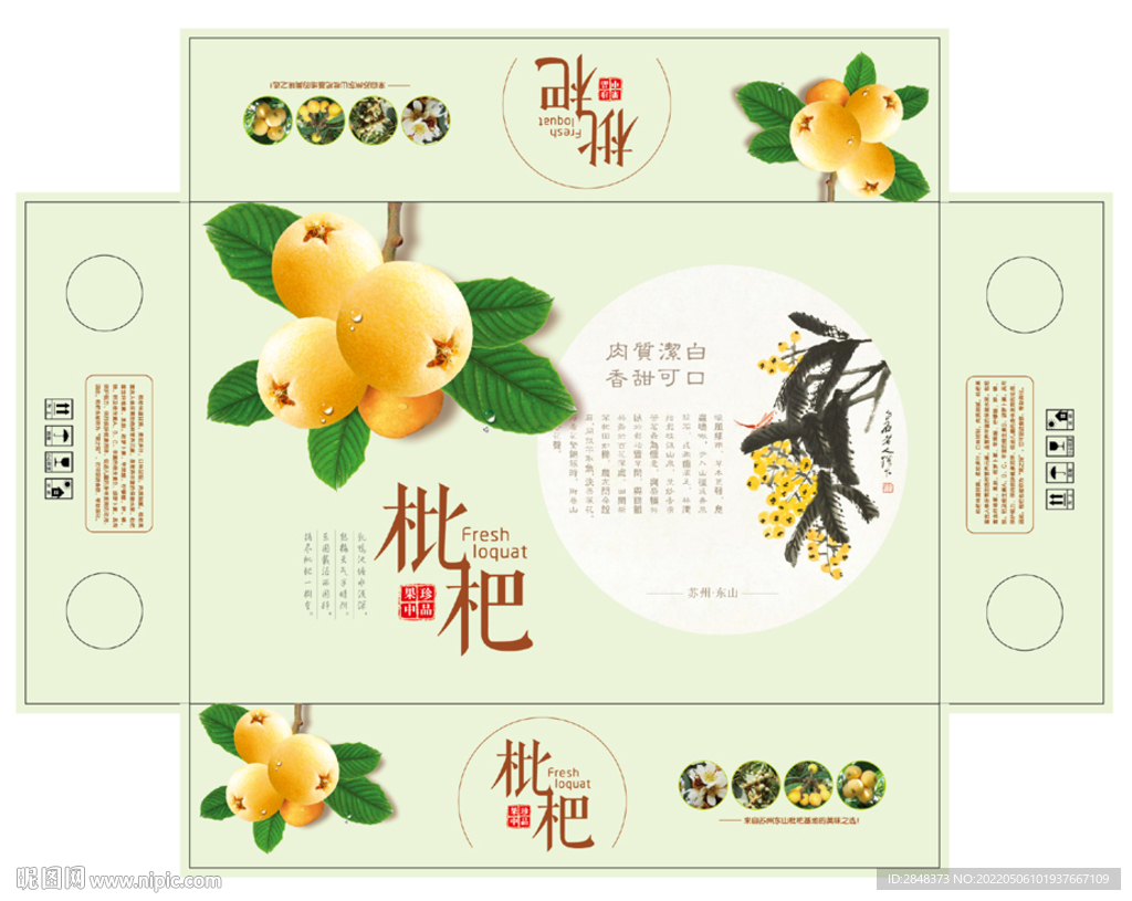 枇杷水果平面展开图