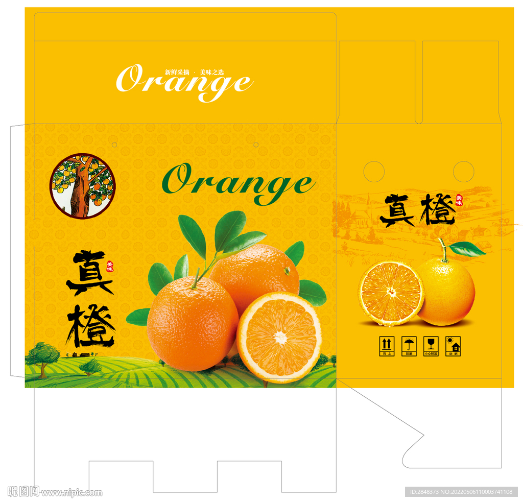 真橙包装平面展开图