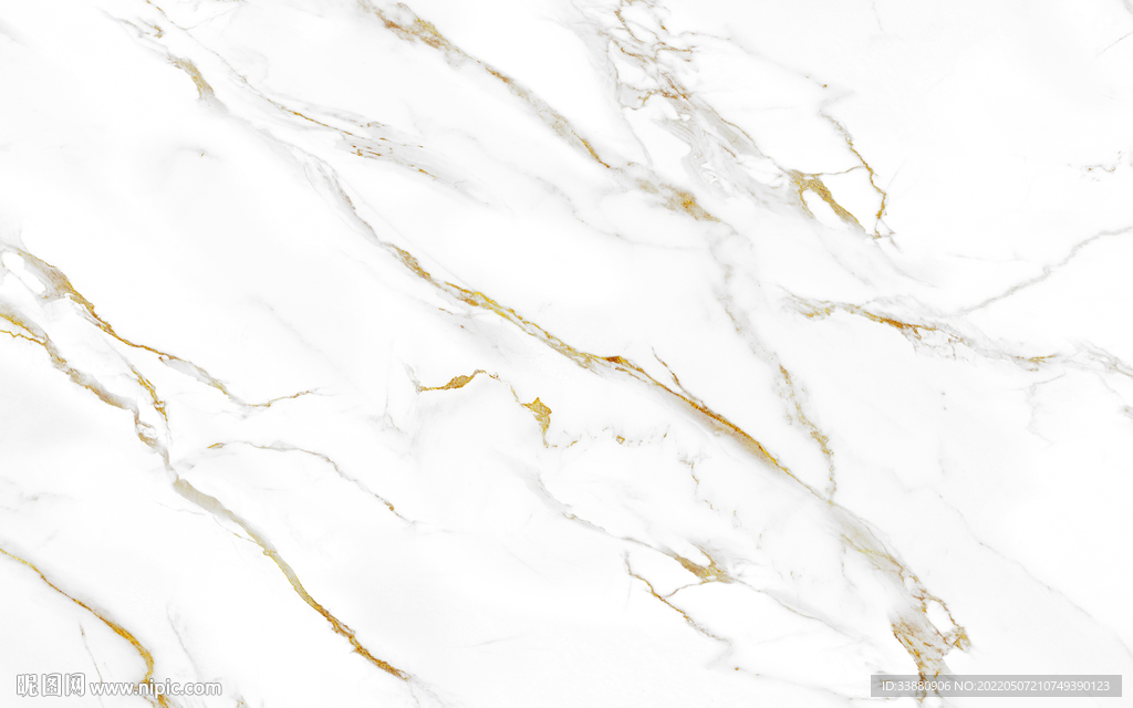 高档 金线鱼肚白纹 TIF合层