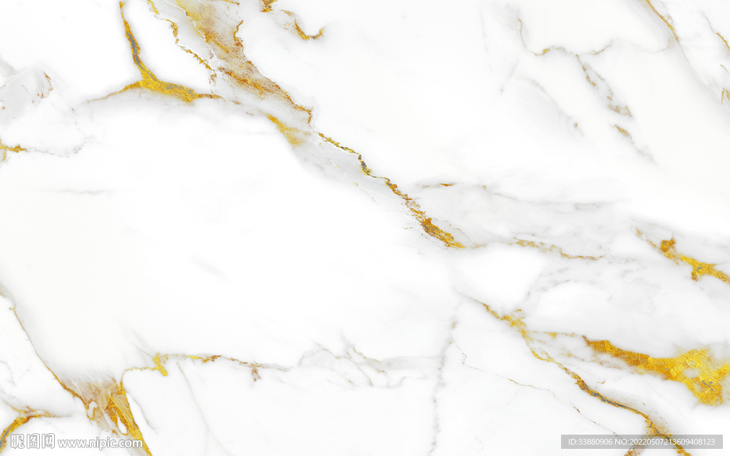 高档 黄金色鱼肚白 TIF合层