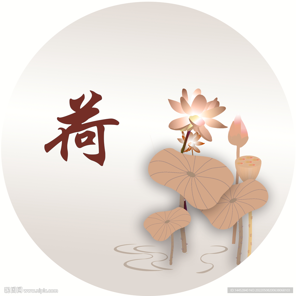 荷花 手绘 高清