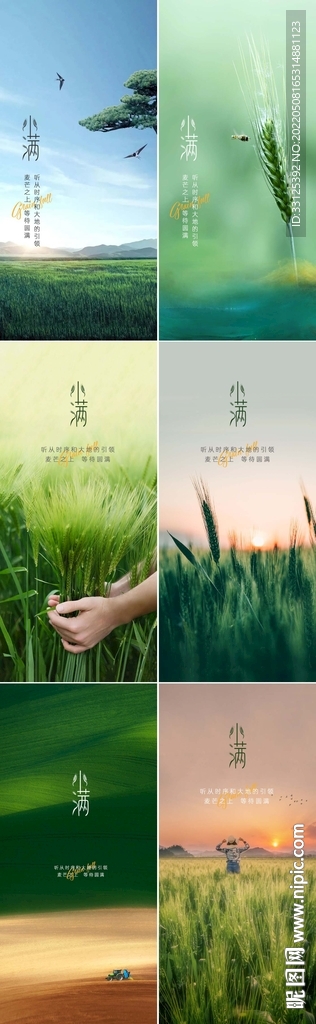 小满系列微信海报