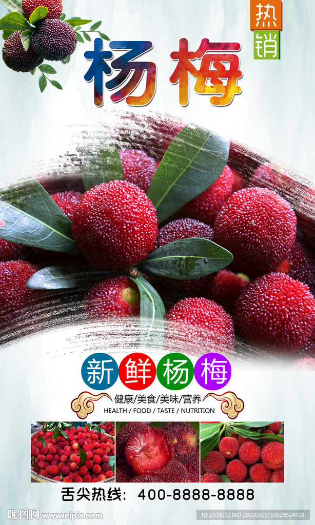 杨梅 
