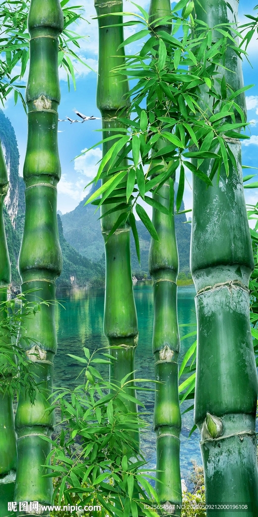 竹林风景玄关