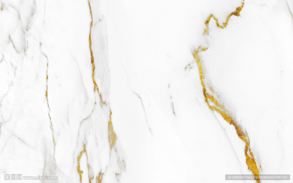 人气金线鱼肚白纹 TIF合层