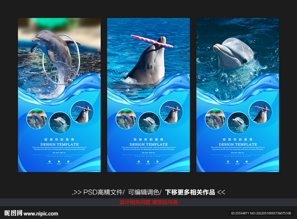 海豚