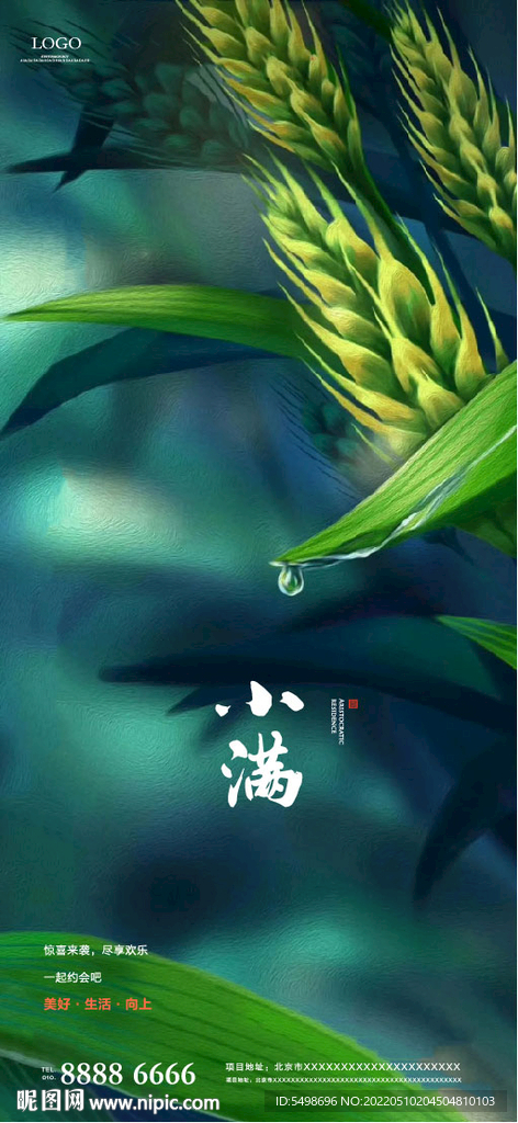 麦穗小满节气海报