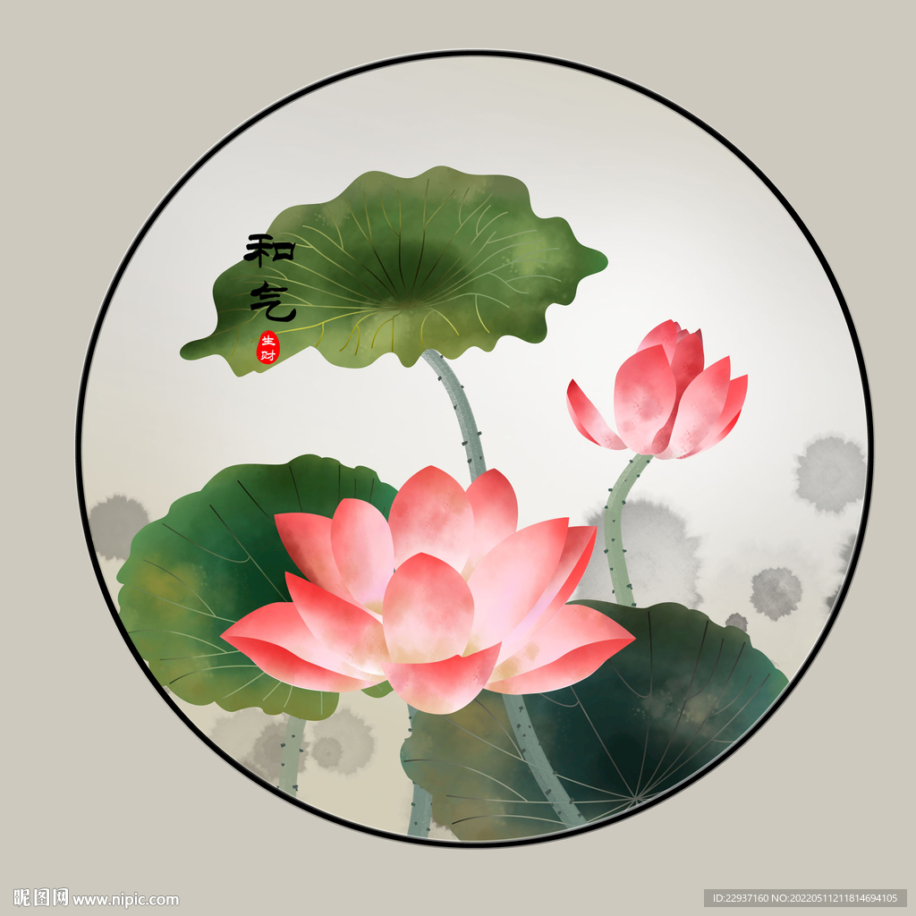 荷花