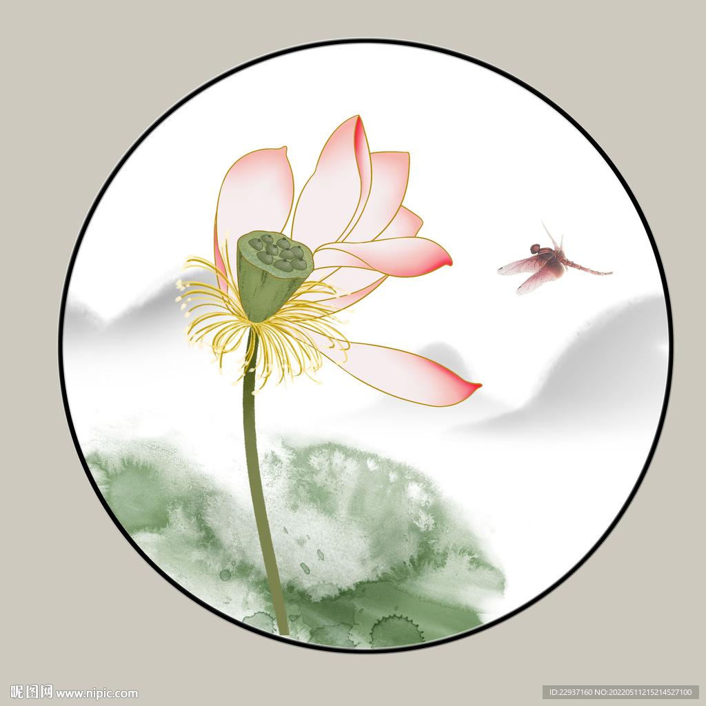 荷花