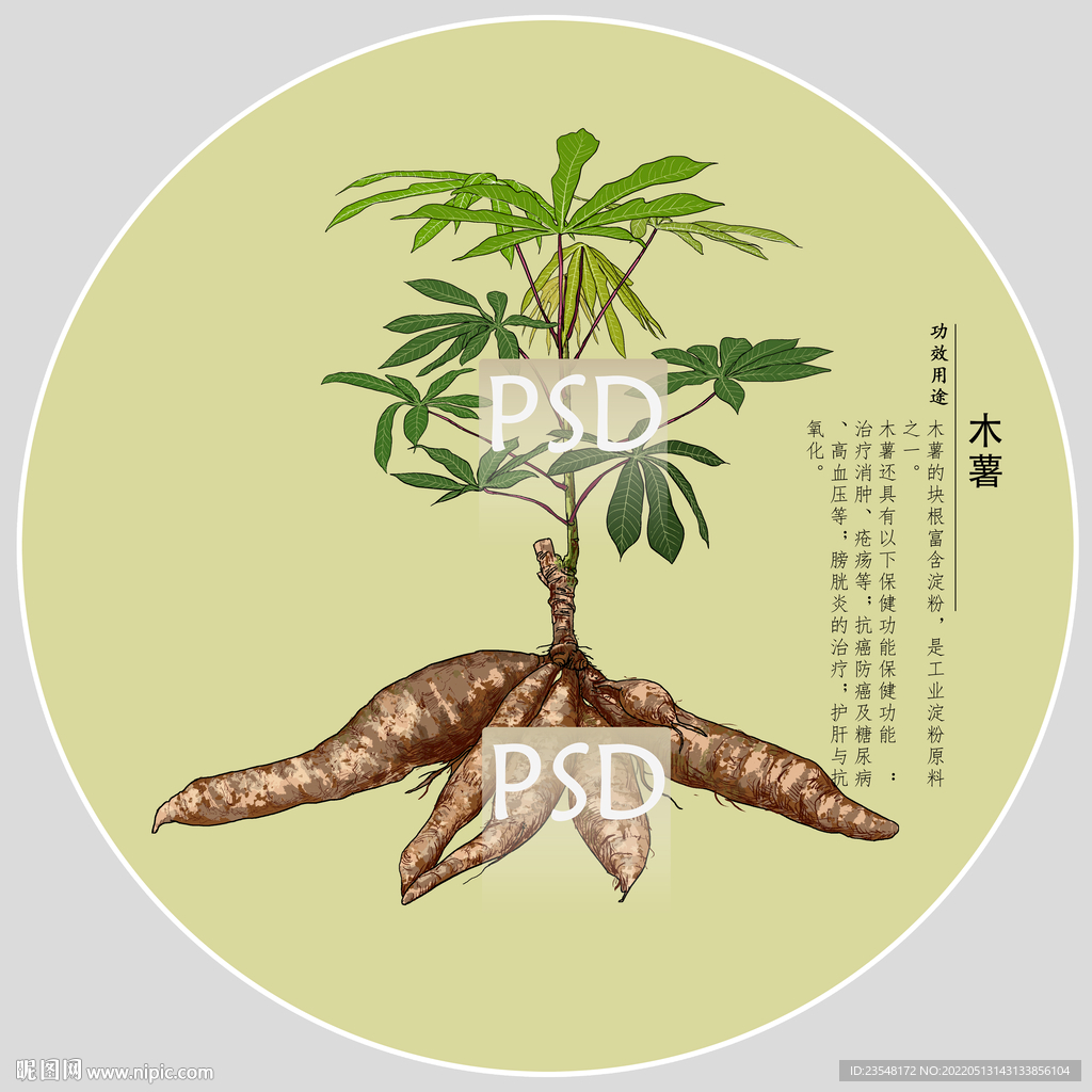 木薯包装手绘装饰画