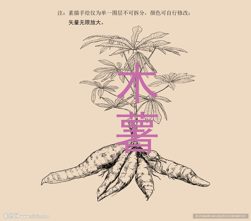 木薯线描