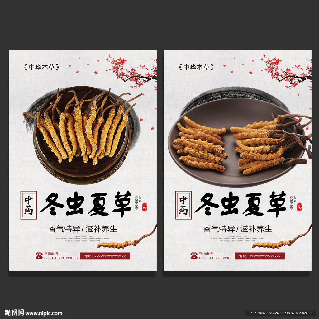 冬虫夏草