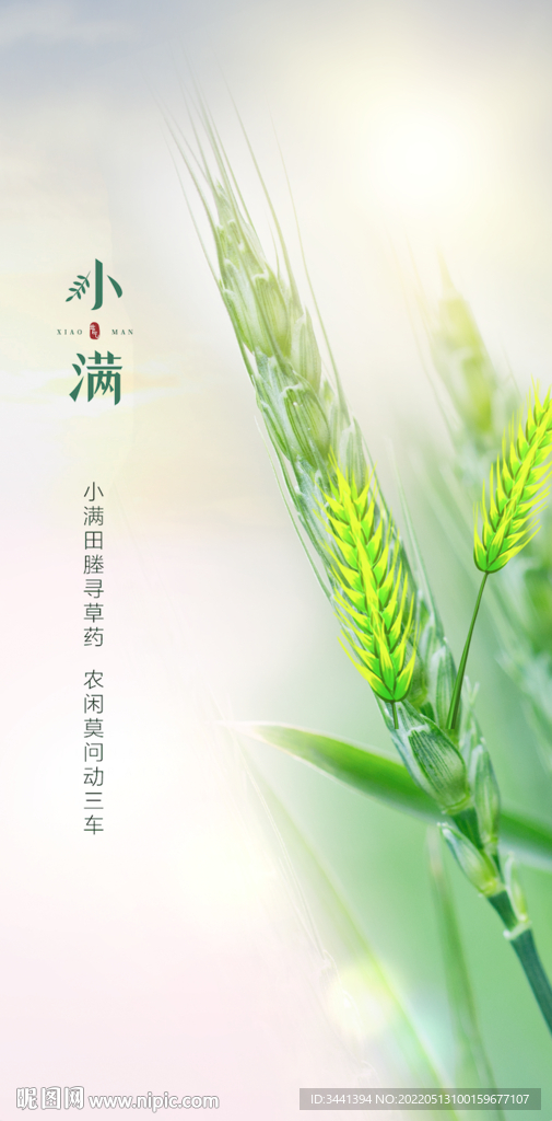 小满 节气 