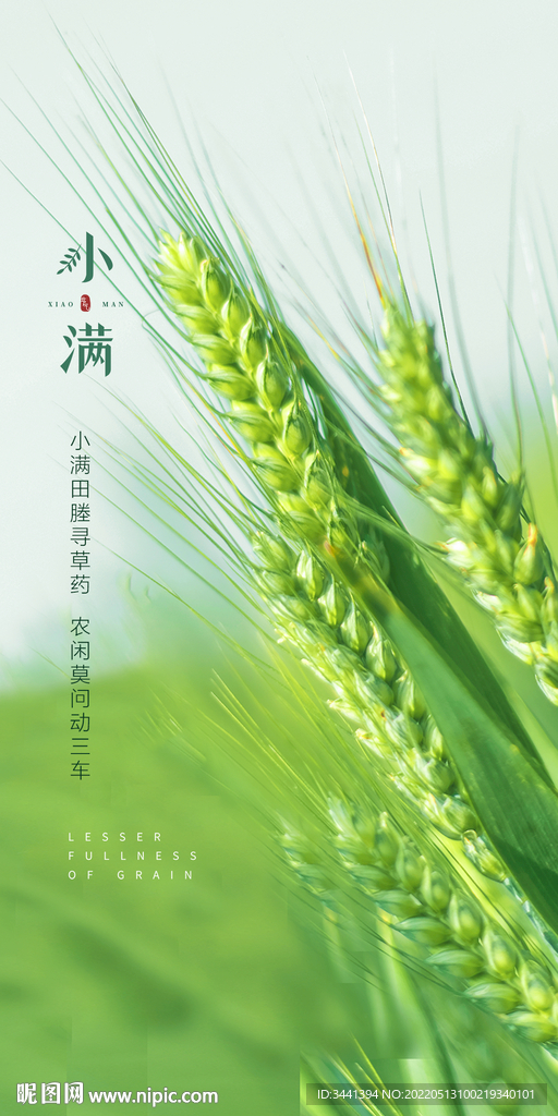 小满 节气 