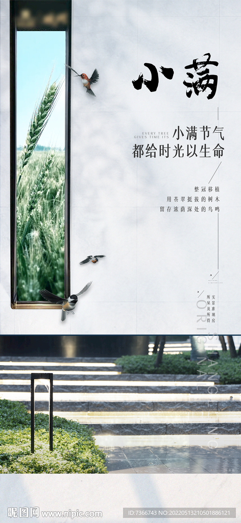 小满 节气 