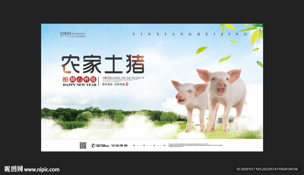 农家土猪展板 海报