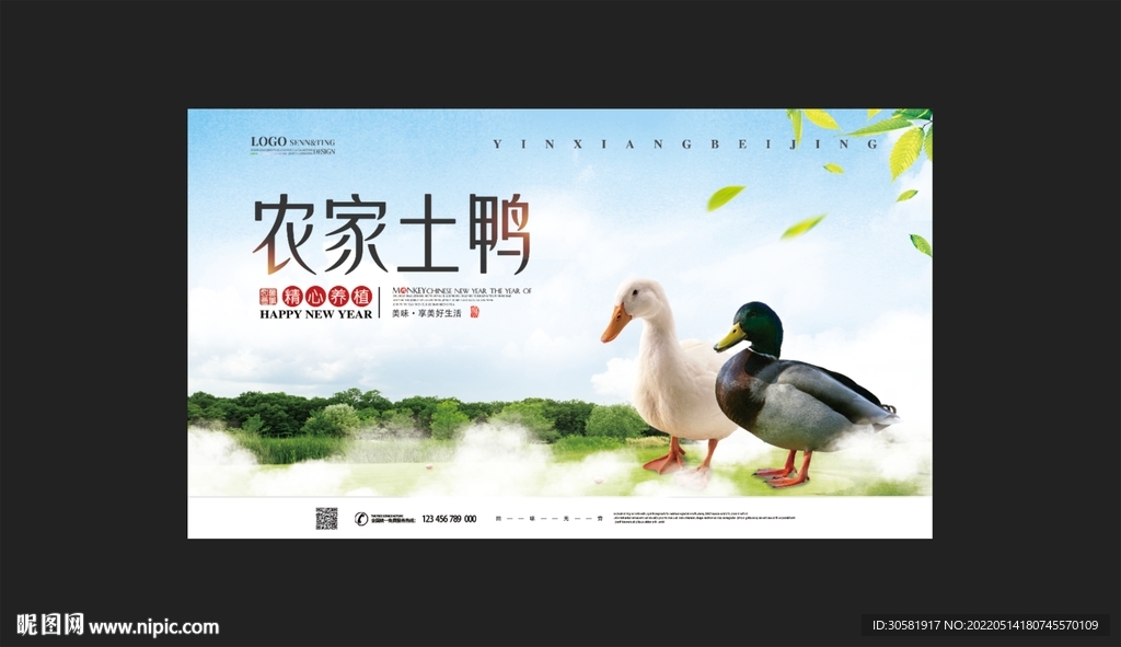 农家土鸭展板  海报