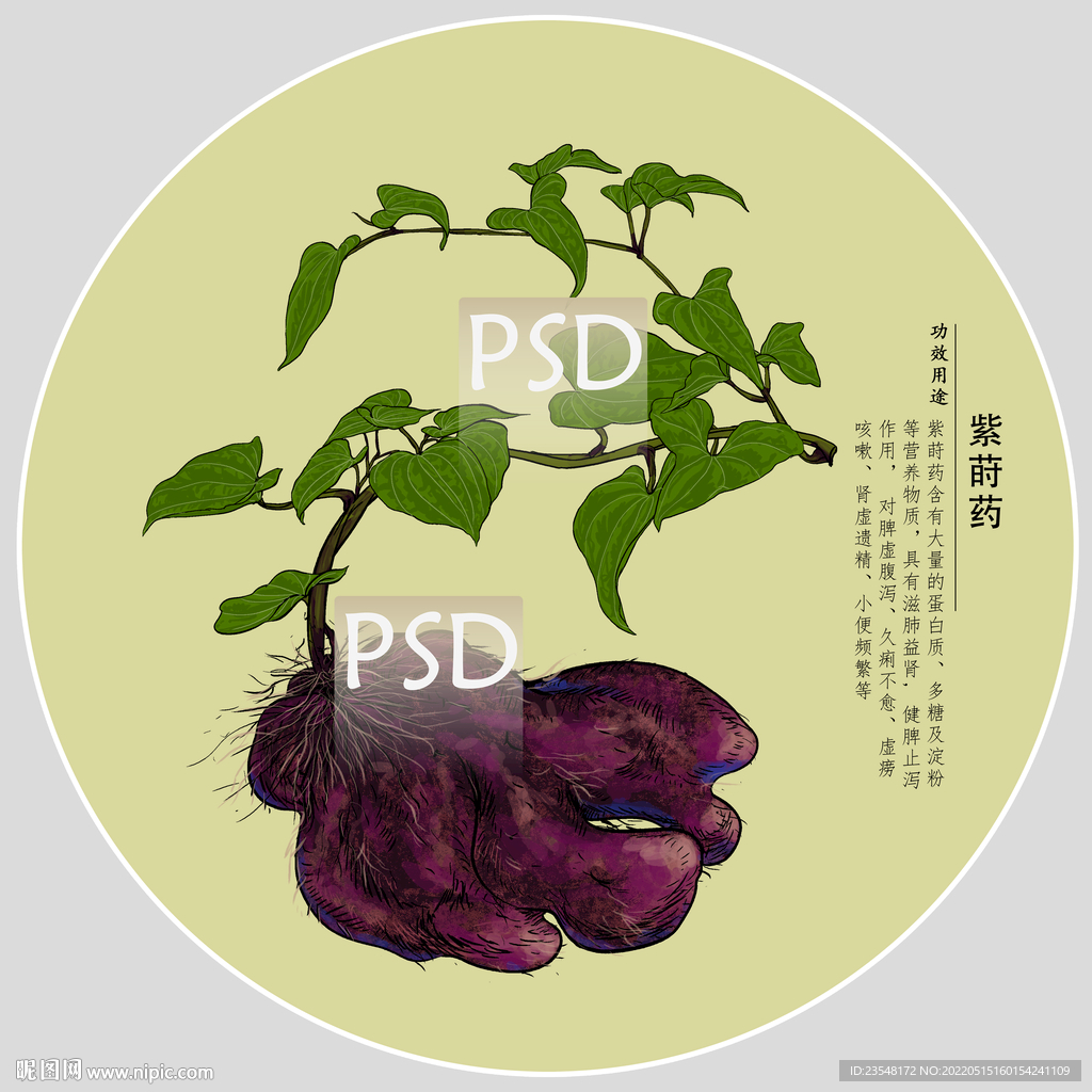 紫莳药包装手绘装饰画