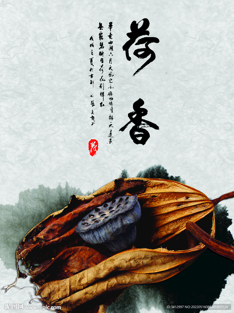 莲蓬