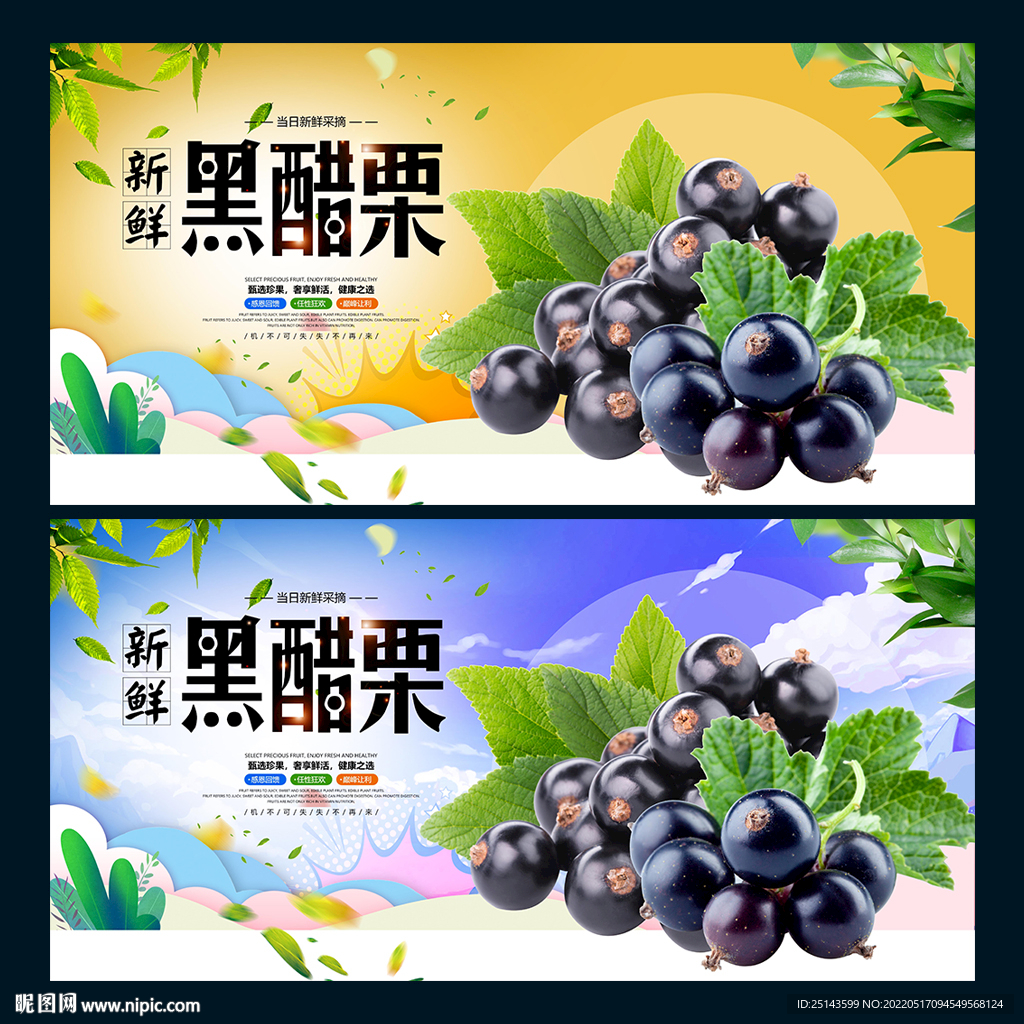 黑醋栗