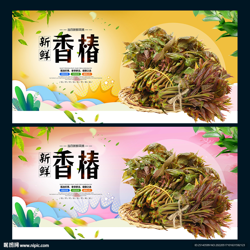 香椿