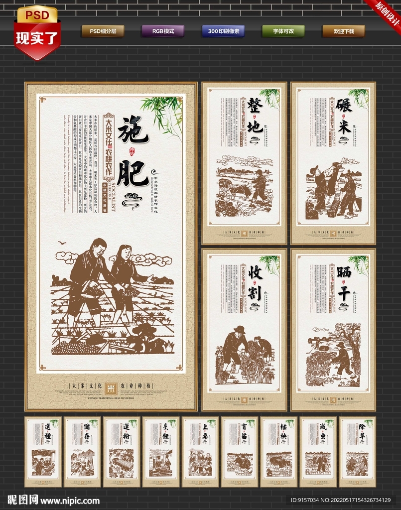 大米展板