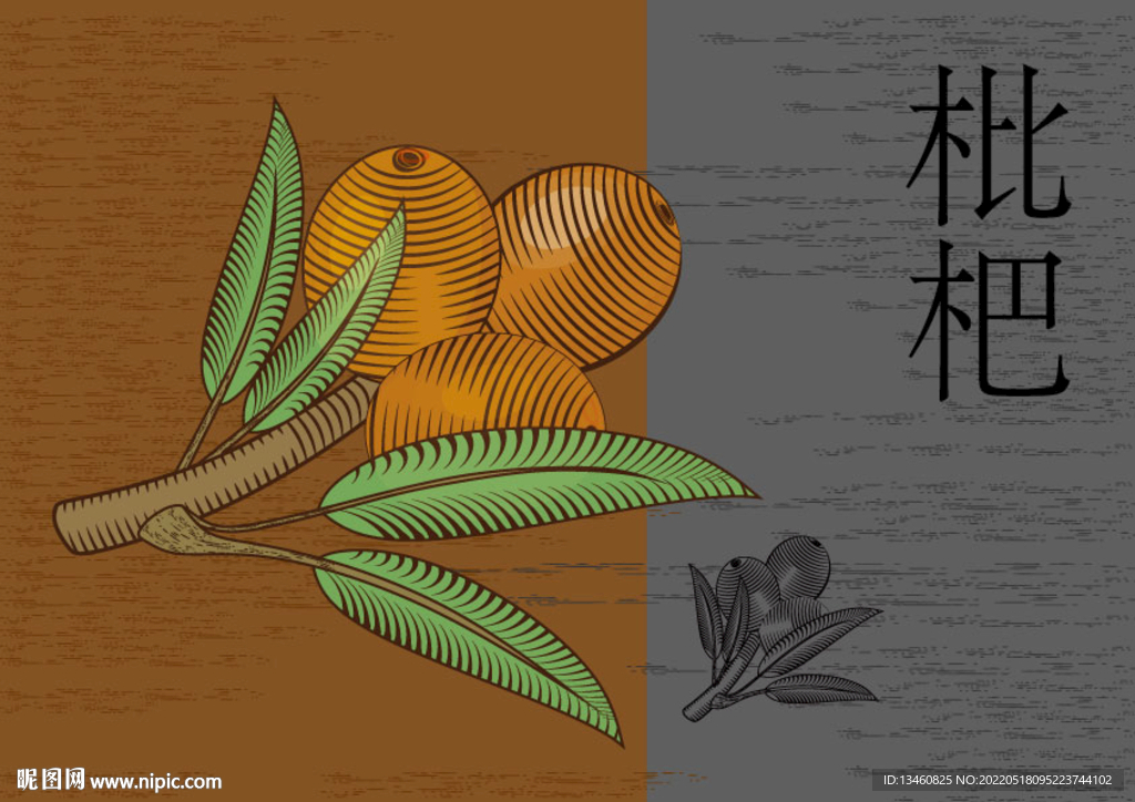 手绘枇杷