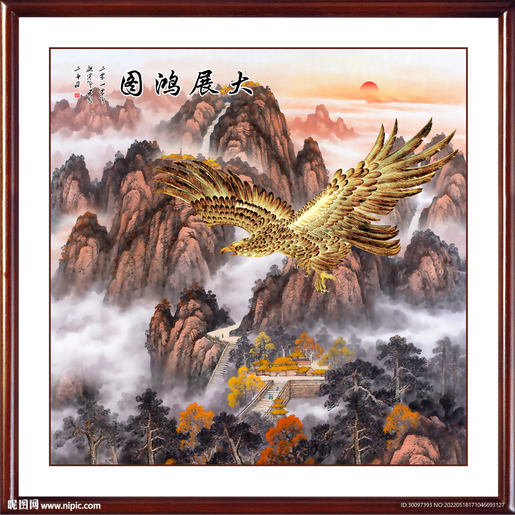老鹰