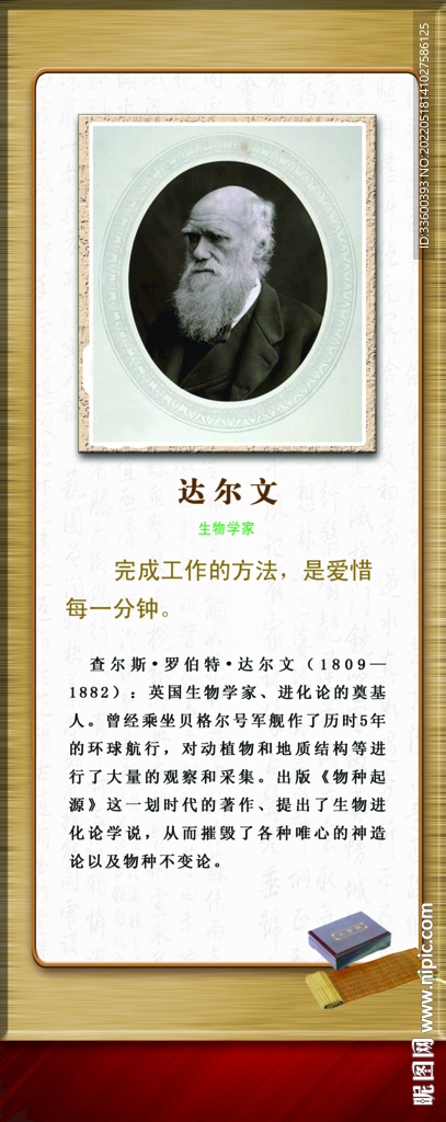 达尔文