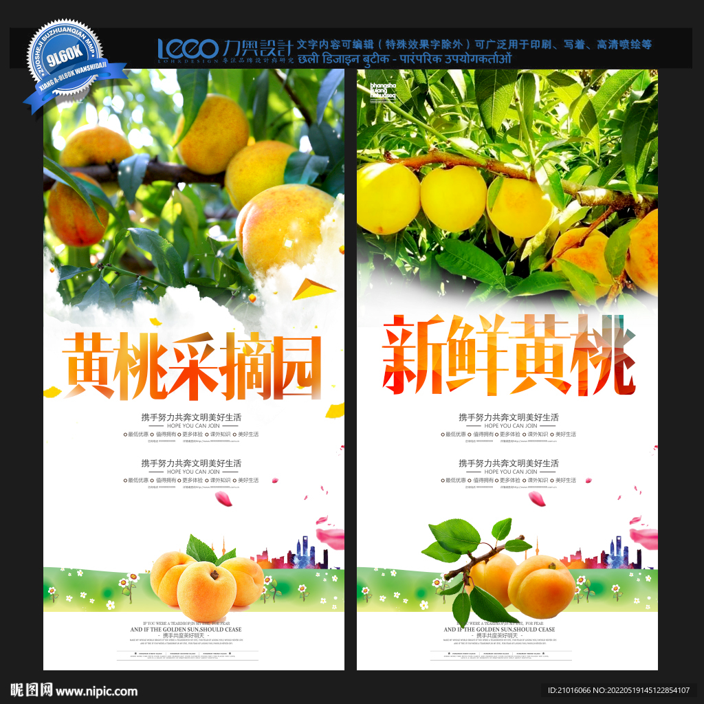 黄桃