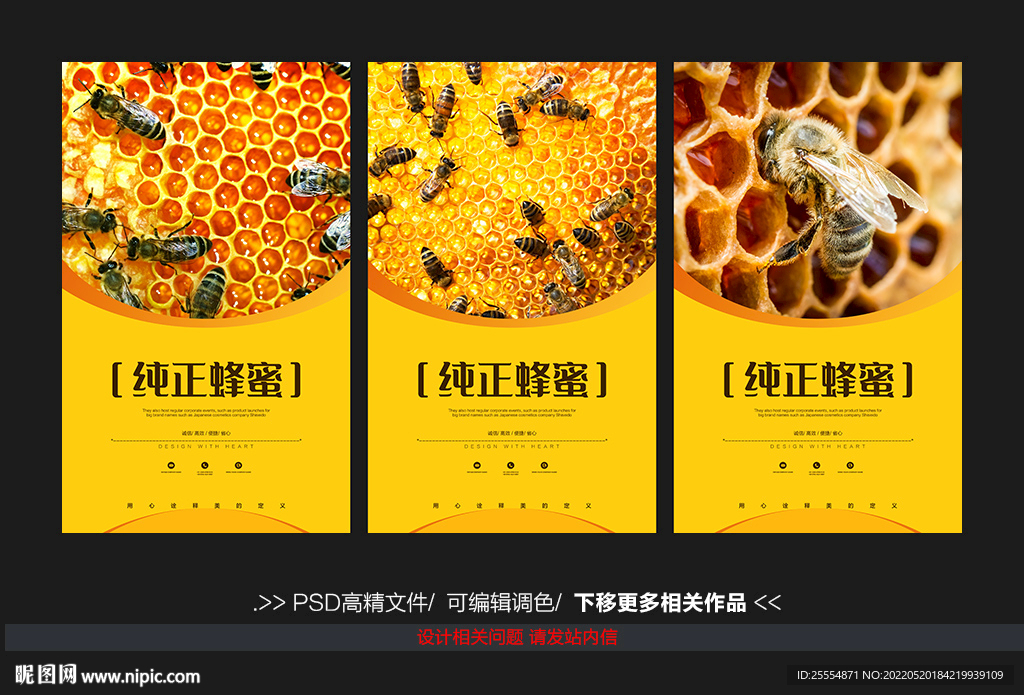 蜜蜂蜂巢