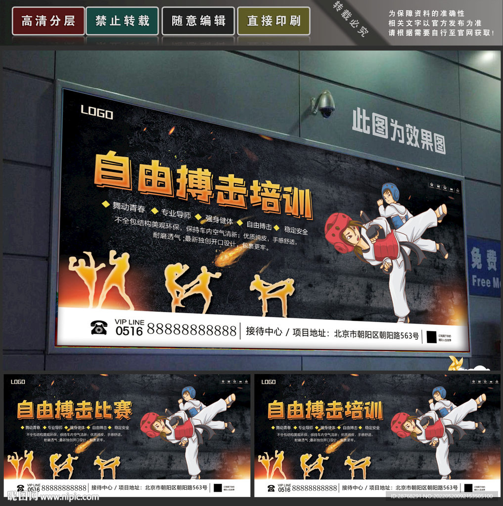 自由搏击