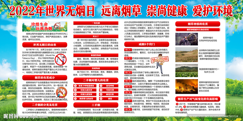禁烟控烟宣传栏