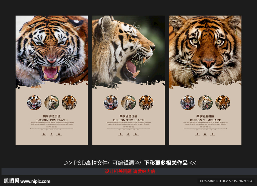 老虎设计图__海报设计_广告设计_设计图库_昵图网nipic.com