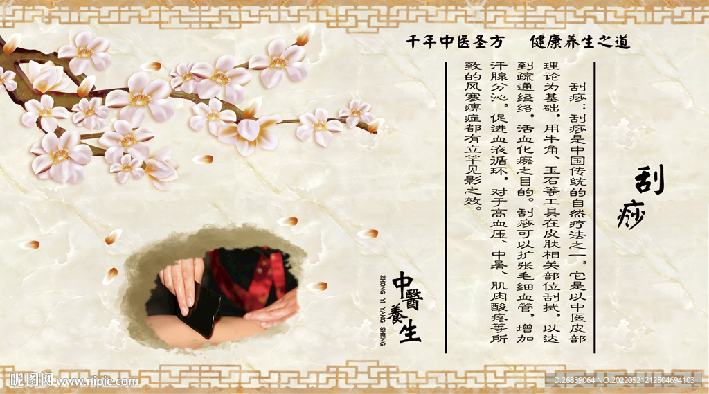刮痧养生背景墙