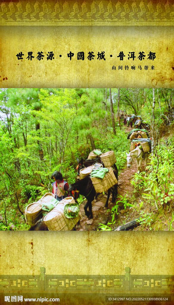 普洱茶