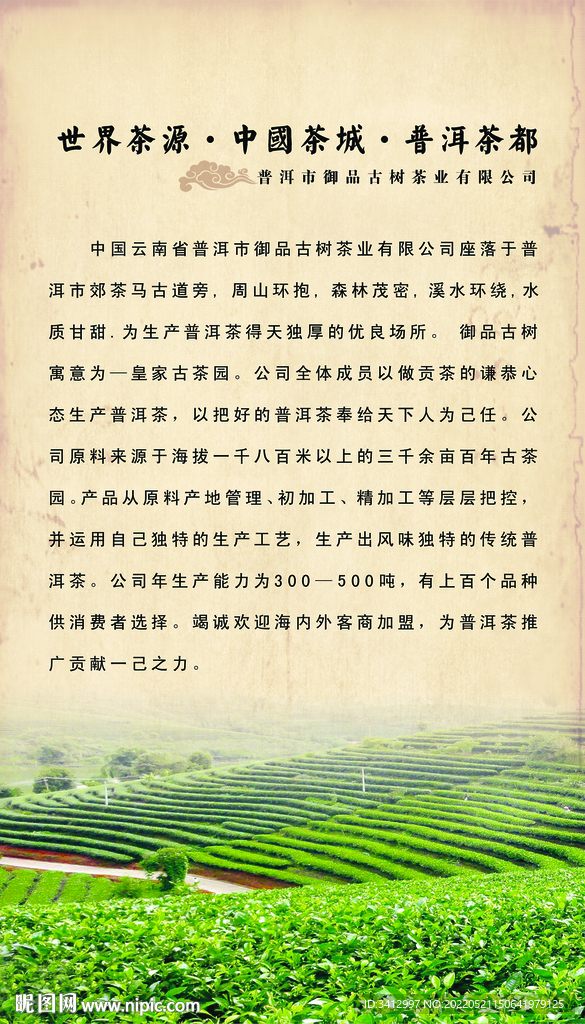 普洱茶