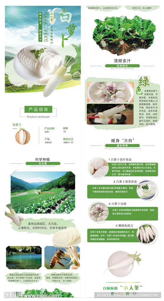 蔬菜详情页模板 白萝卜海报