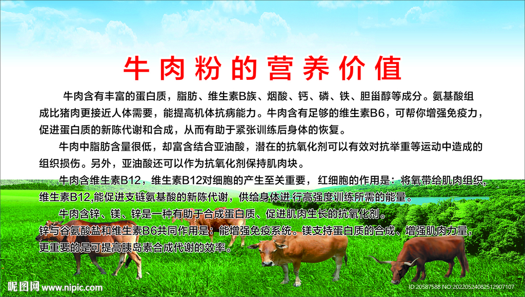 牛肉粉的好处图片