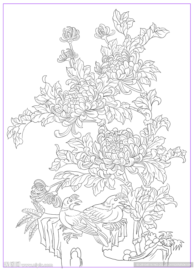 菊花