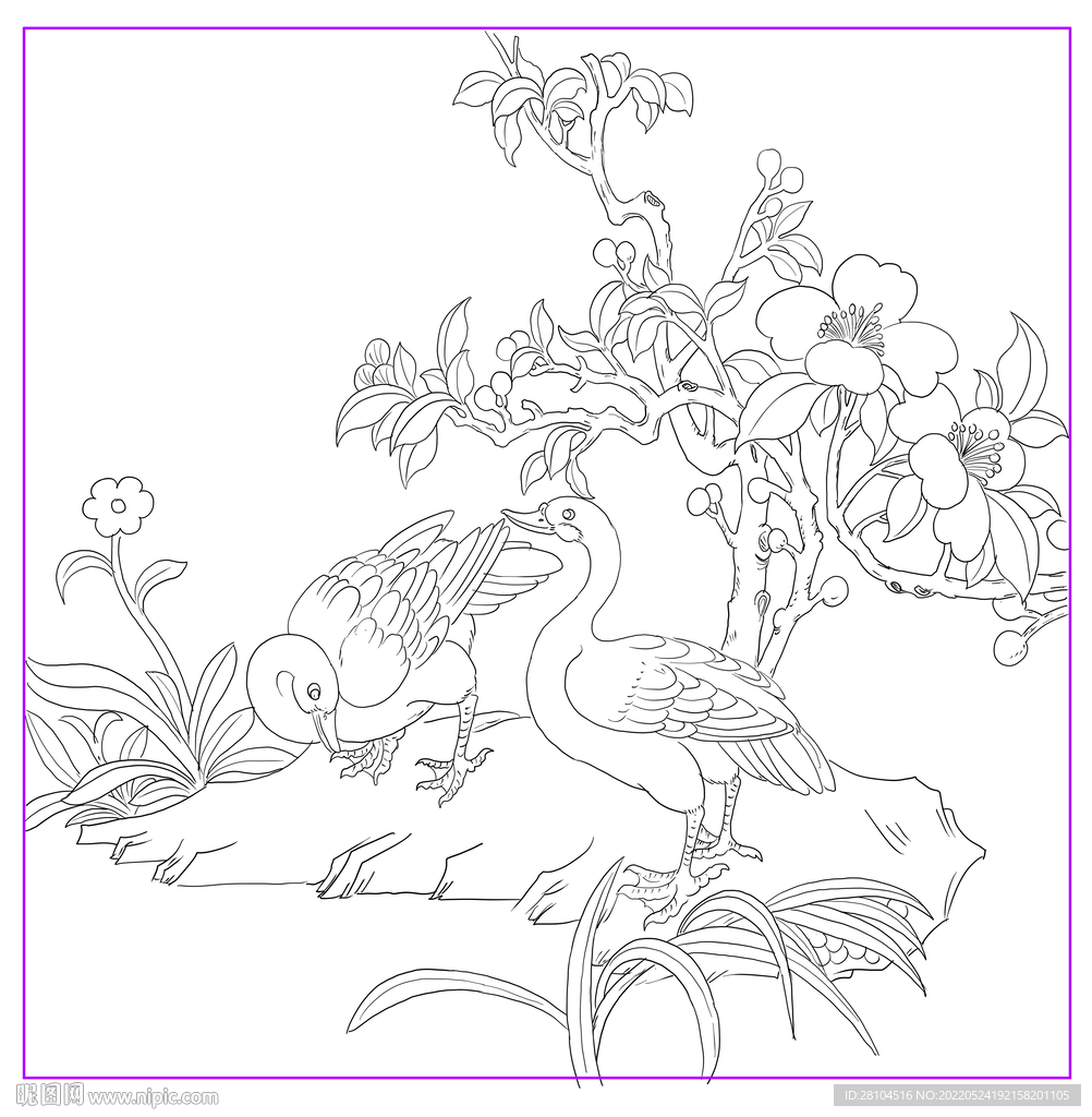 花鸟图