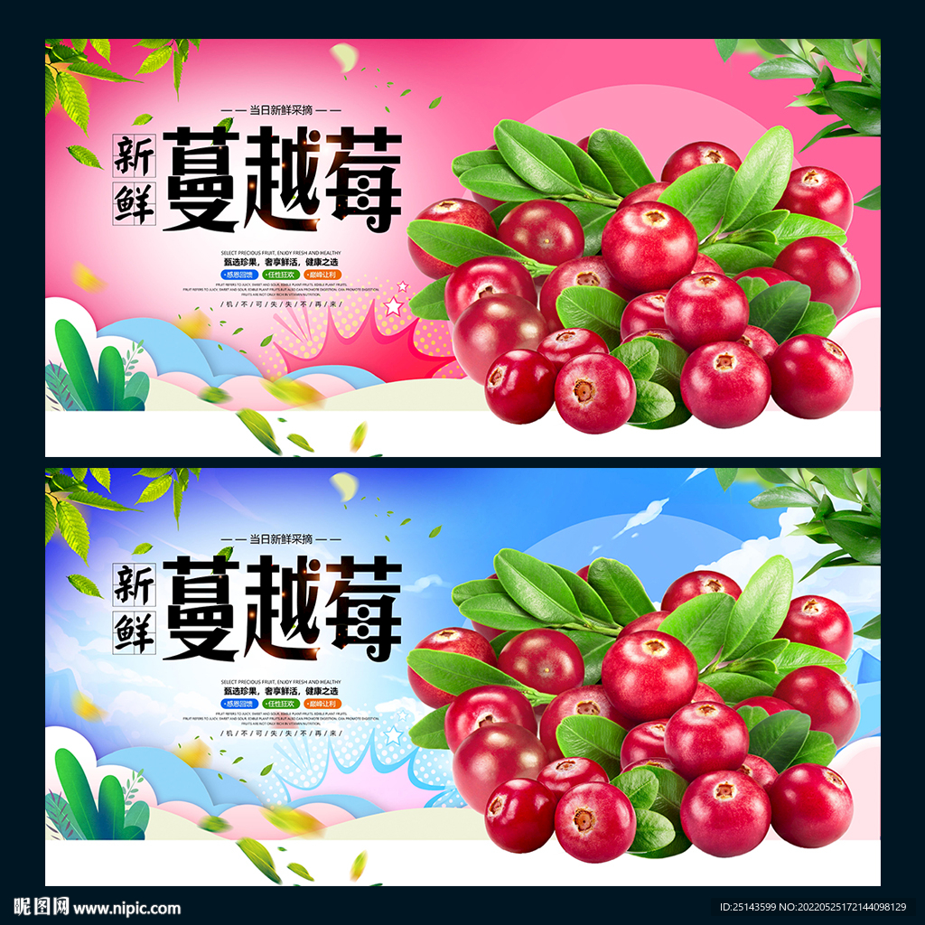 蔓越莓