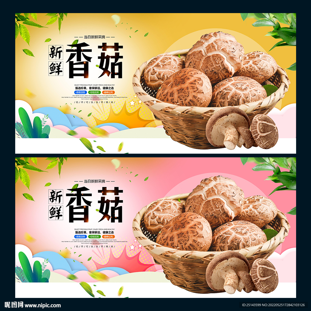 香菇
