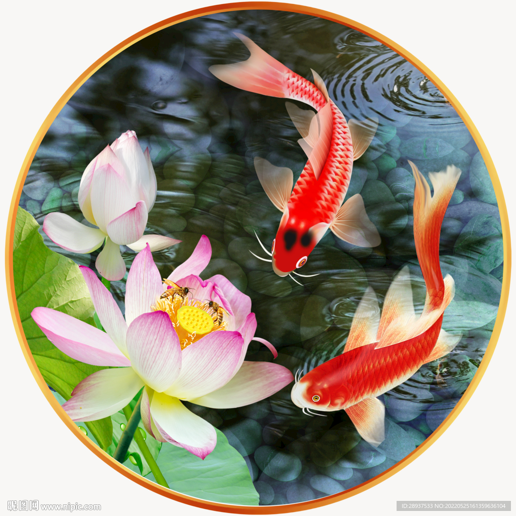 高清荷花鲤鱼园型画