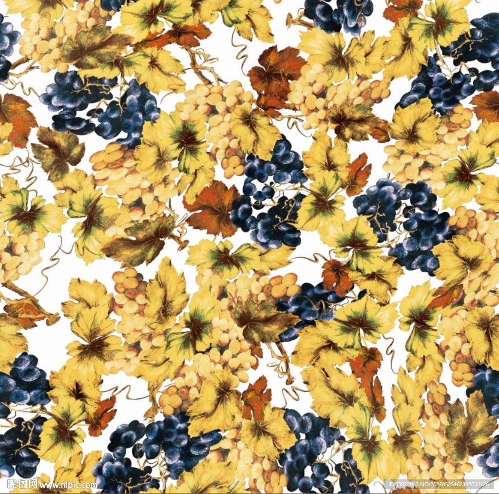 大牌葡萄藤 葡萄