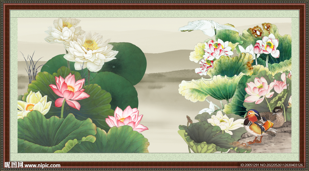 国画荷花 