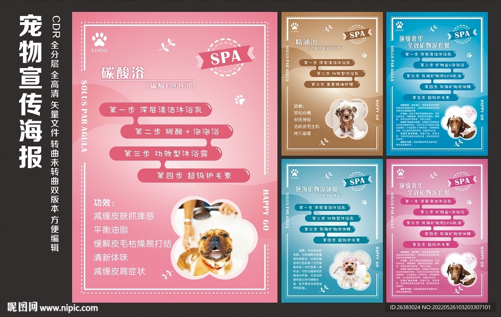 宠物SPA 宣传套餐