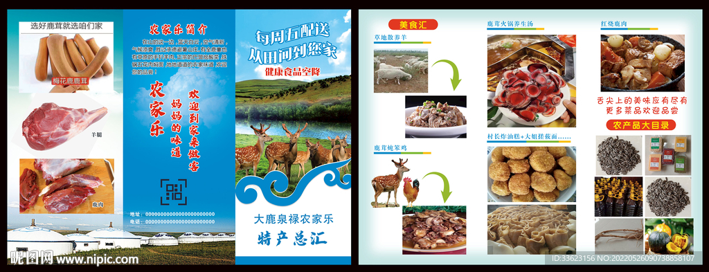 鹿茸产品三折页