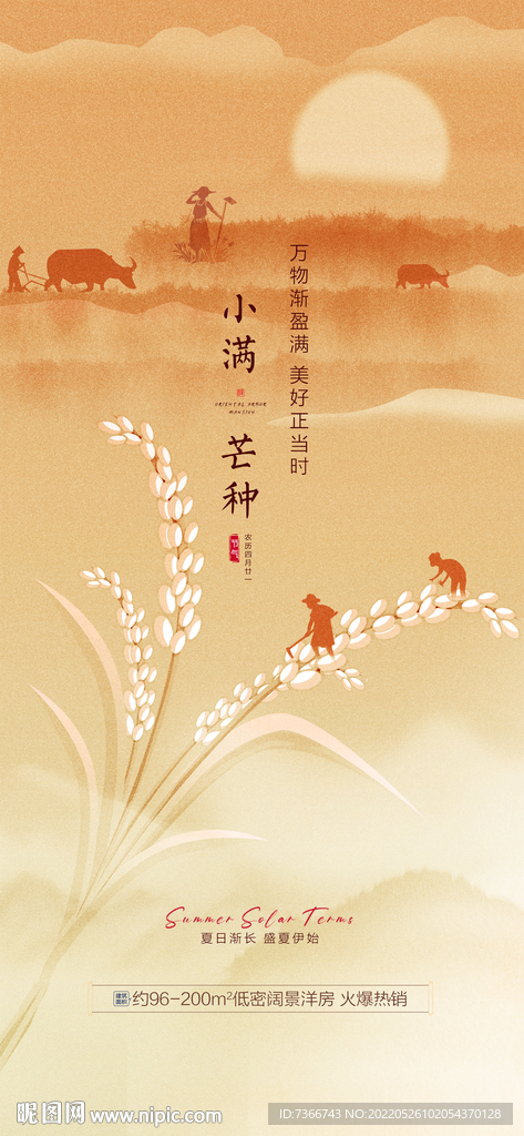 芒种  